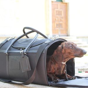 488062504_18471211759066922_1037585634607055455_n