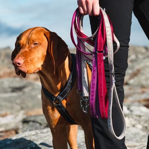 636953308973347612_hurtta-bergen-2019-7637-500